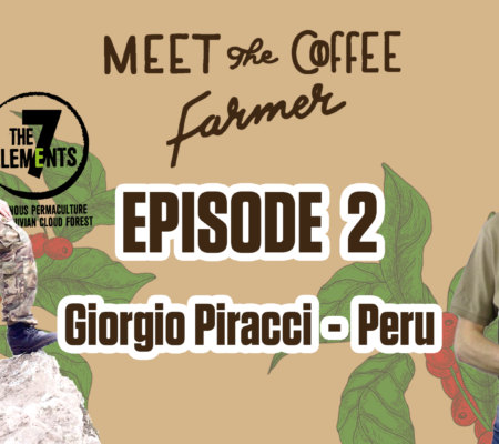 Organic coffee from Peru with high quality and sustainability.